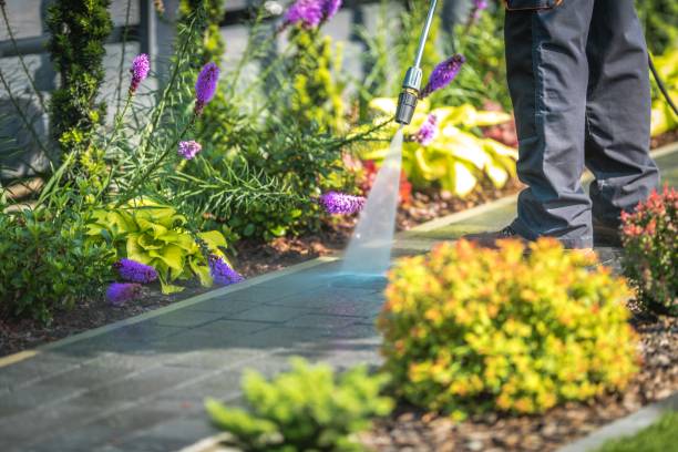 Trusted Orchard City, CO Pressure Washing Services Experts