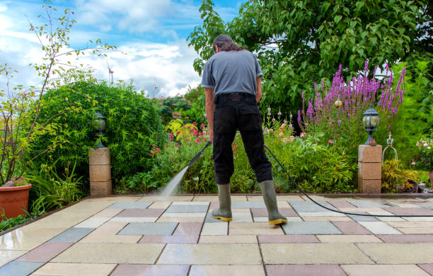 Animal Enclosure Cleaning in Orchard City, CO